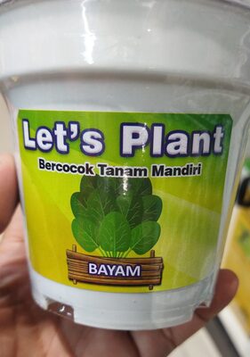 Bayam
