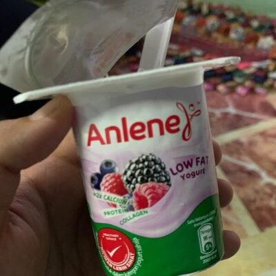 Anlene Yogurt Low Fat Mixed Berries 110g