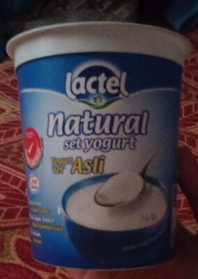 Lactel yogurt asli 470g