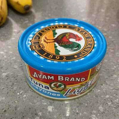 ayam brand deli tuna 160g