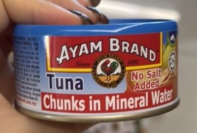 ayam brand tuna 150g