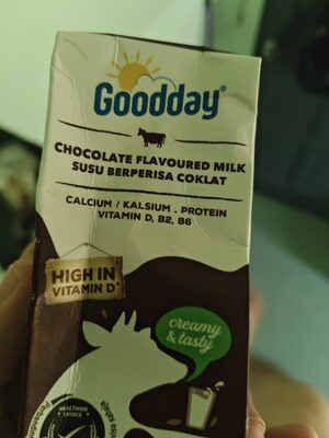 googday chocolate flavoured milk 200ml